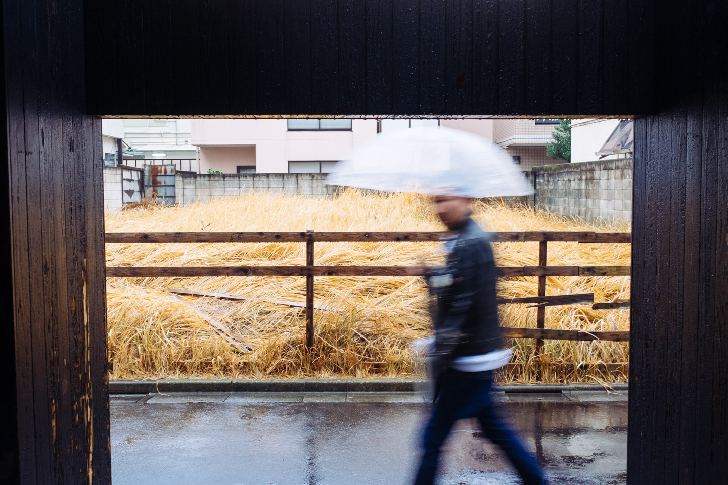 Rainy day in Harajuku.