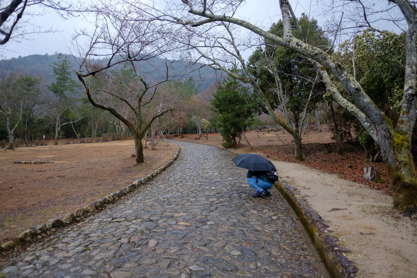 Arashiyama, Kyoto.