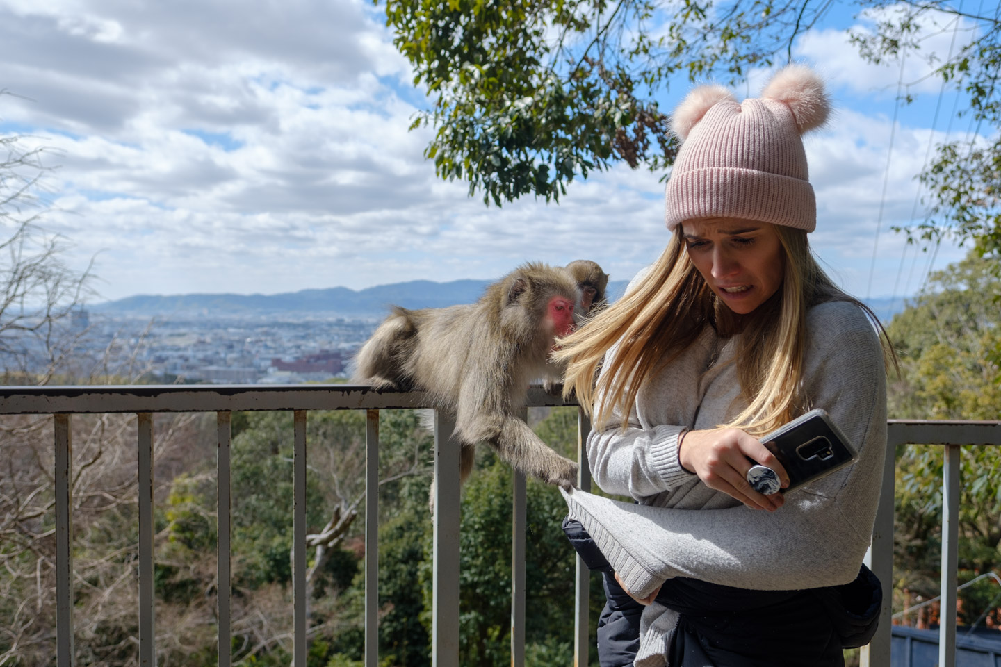 Getting attacked by a monkey.