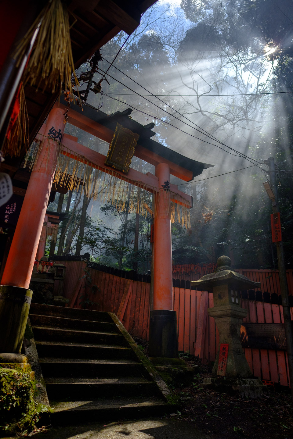 Fushimi Inari Shrine.