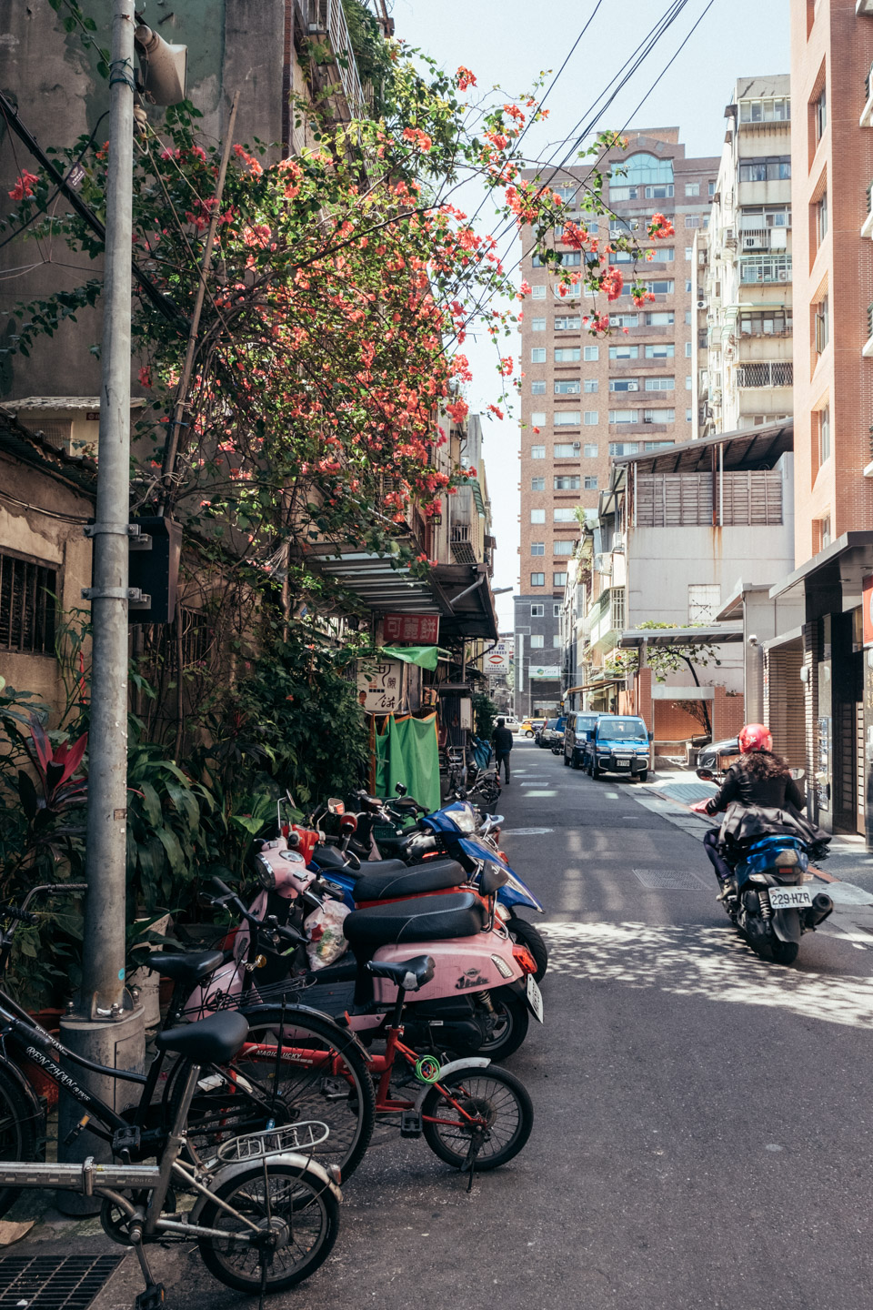 Taipei streets by day.